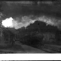 Negative, Glass-plate