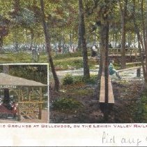 Picnic Grounds at Bellewood Park