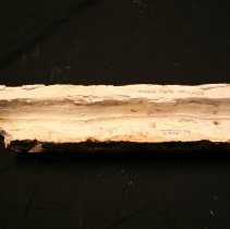 97-003-001 Chicago Granda Trim