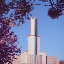 Spring-rrt-pix-bydawnnbrown