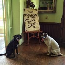 13151809_10153451181556689_731752320155738956_n