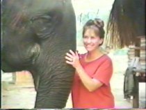 Recording of the PAragon Awards Ceremony during the 1998 Annual Conference