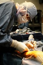 Photo for AAPA slide show presentation (23)