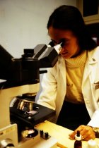 AAPA Promotional Photos - PA Studying Microscope, undated