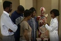 Scenes from George Washington University PA Program