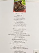 Life Savers Then... Caregivers Now Poem Poster
