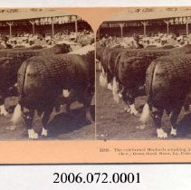 Stereoview