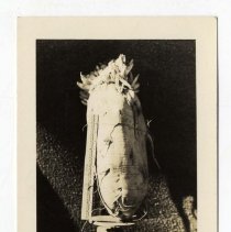 Real Photo Postcard Front