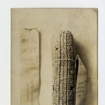 Real Photo Postcard Front