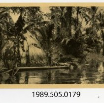 Real Photo Postcard Front