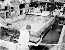 Negative, Sheet Film