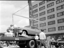 Negative, Sheet Film