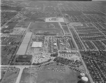 Negative, Sheet Film