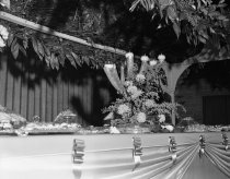 Negative, Sheet Film