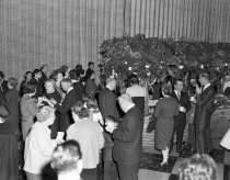 Negative, Sheet Film