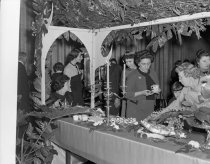 Negative, Sheet Film