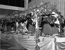 Negative, Sheet Film