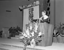 Negative, Sheet Film