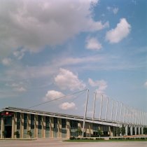 Negative, Sheet Film