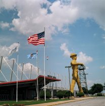 Negative, Sheet Film