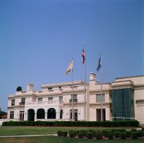 Negative, Sheet Film