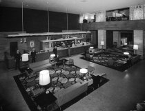 Negative, Sheet Film