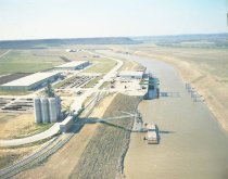 Negative, Sheet Film