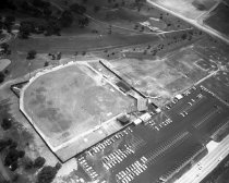 Negative, Sheet Film