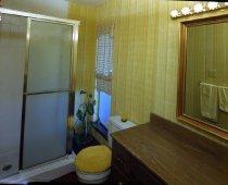 Negative, Sheet Film