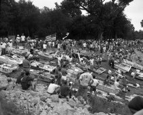 Negative, Sheet Film