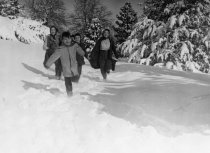 Negative, Sheet Film