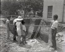 Negative, Sheet Film