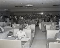 Negative, Sheet Film