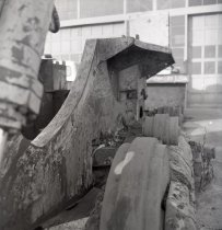 Negative, Sheet Film