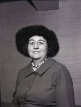 Negative, Sheet Film