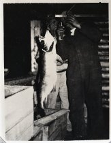 Negative, Sheet Film