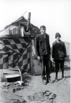 Negative, Sheet Film