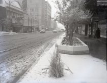 Negative, Sheet Film