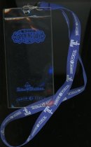 Lanyard