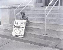 Negative, Sheet Film