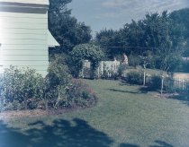 Negative, Sheet Film