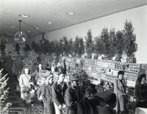 Negative, Sheet Film