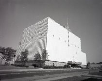 Negative, Sheet Film