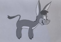 Negative, Sheet Film