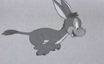 Negative, Sheet Film