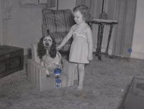 Negative, Sheet Film