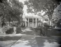 Negative, Sheet Film