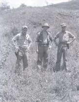 Negative, Sheet Film