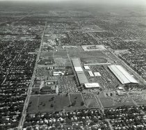 Negative, Sheet Film