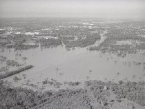 Negative, Sheet Film